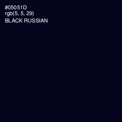 #05051D - Black Russian Color Image
